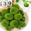 24 pièces de roches de mousse artificielle, décor de mousse verte pour arrangements floraux, jardins de fées et artisanat