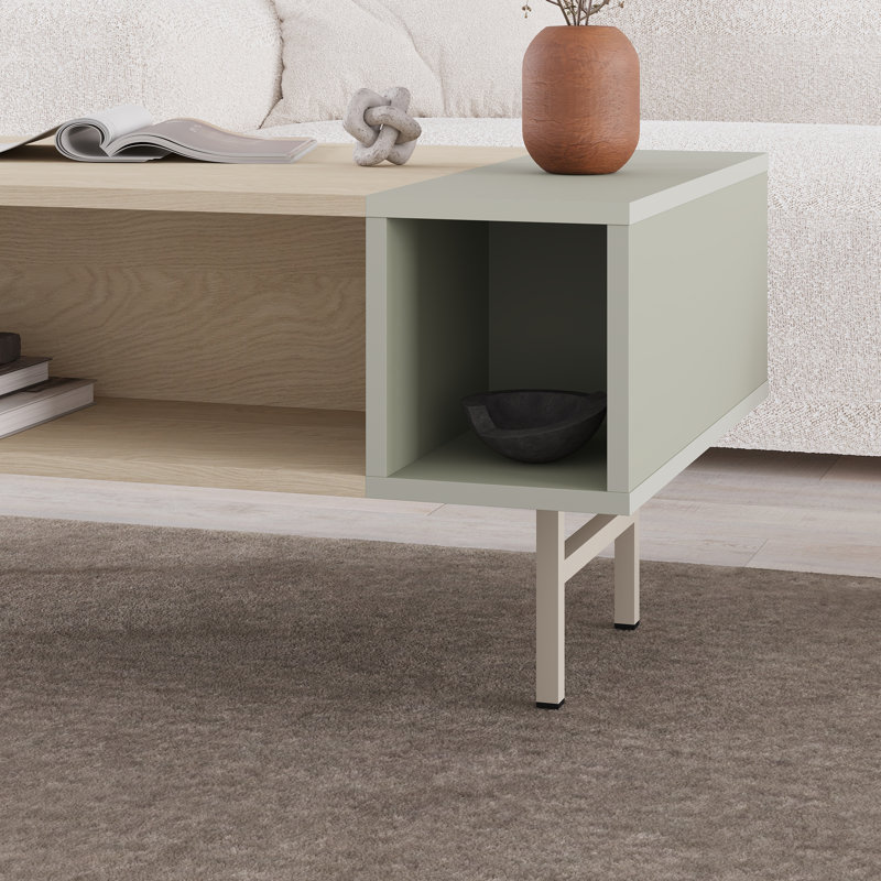 Coffee Table with Storage