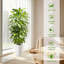 Faux Plant-398055531