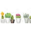Mini cactus et plantes grasses - décor encadré exotique gris-831880873