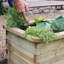 Kyler Raised Garden Bed-1578290622