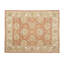 Wool Oriental Area Rug in Rust/Ivory-1950489605