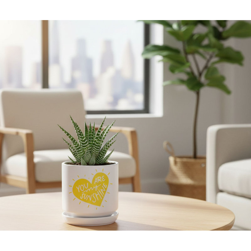 Jardinière You Are My Sunshine