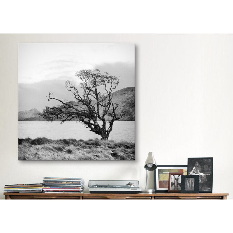 "Connemara Tree I", reproduction d'art sur toile par Geoffrey Ansel Agrons, H 12 po x l 12 po x P 0,75 po, Toile tendue