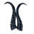 Polished Springbok 2 Horns Set (Left And Right)