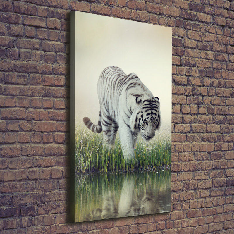 White Tiger - Wrapped Canvas Print