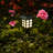 Low Voltage Solar Powered Integrated LED Pathway Light Pack