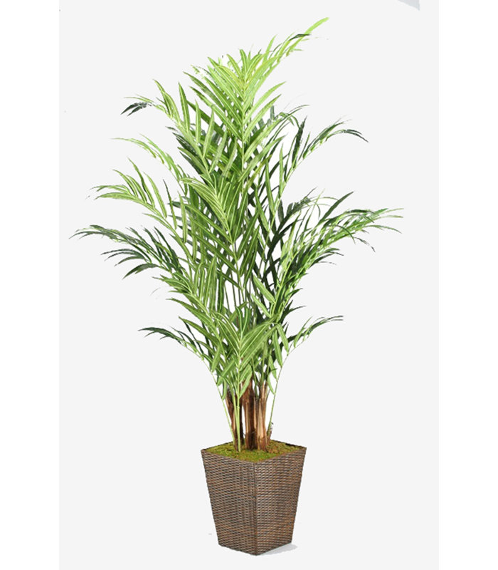 Faux Tree in Solid Wood Basket