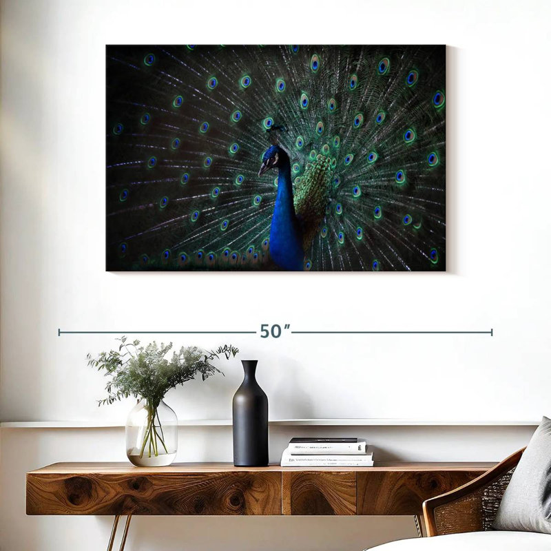 Paon bleu noble, H 26 po x l 39 po