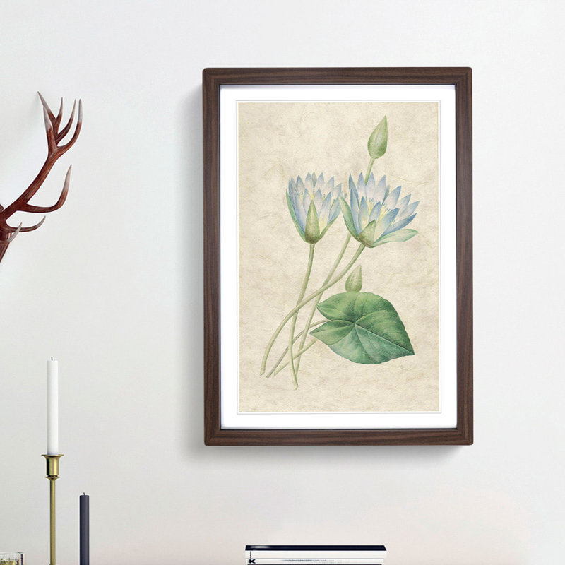 Egyptian Lotus Flowers by Pierre-Joseph Redoute - Picture Frame Painting Print, Walnut Framed, 48cm H x 36cm W x 2cm D