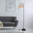 Ameiya 55.9'' Matte Task Floor Lamp