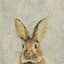What Up Rabbit II by Julia Posokhova - Wrapped Canvas Painting-686052113