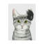 « downton cat iii », peinture sur toile tendue-1697658900
