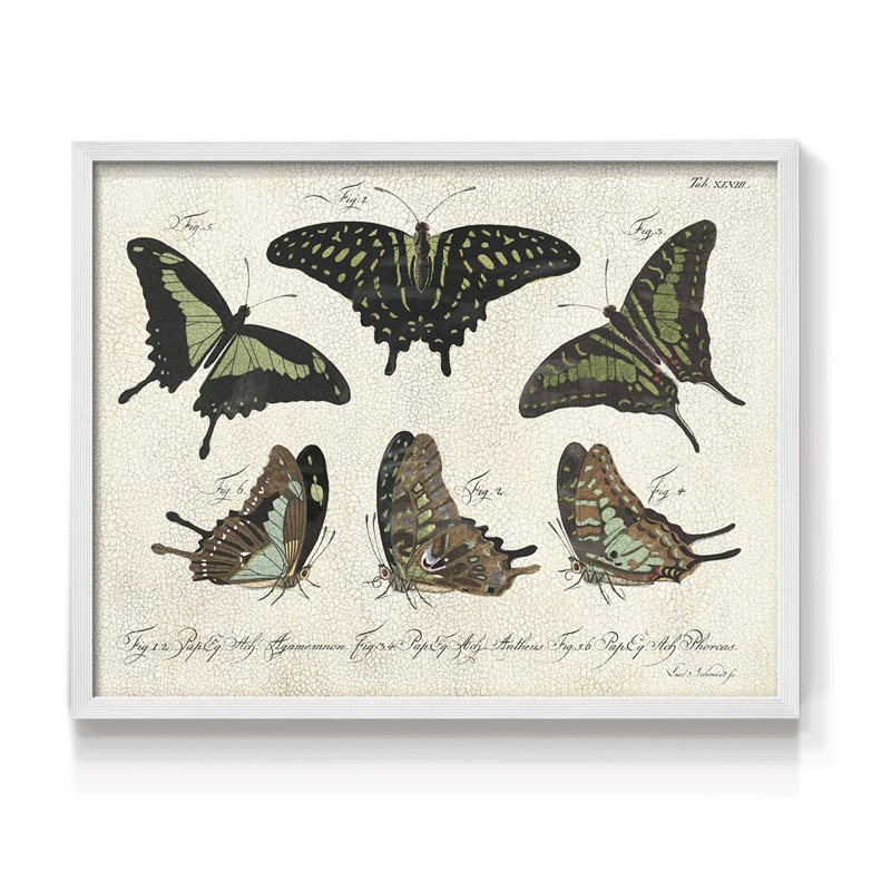 Crackled Butterflies II -Framed Print - Restickable, H 22 po x l 28 po, Blanc
