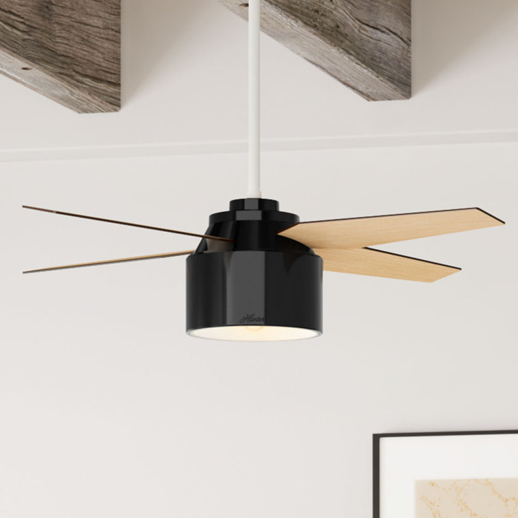 52'' Cranbrook 4 - Blade Standard Ceiling Fan with Remote Control and Light Kit Included