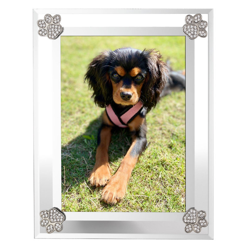 Paw Print Metal Picture Frame, 5" x 7"