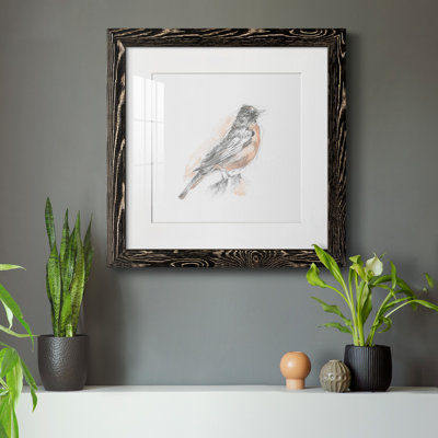 12_Robin Bird S croquis I-Premium, reproduction encadrée - prêt à être accroché