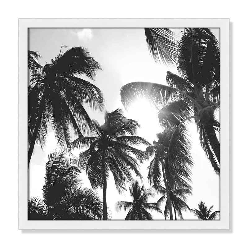 " Caribbean Palms ", 17" W x 17" H, White Framed