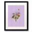 Celestial Mirabelle Print by Jenny Brown-64401898