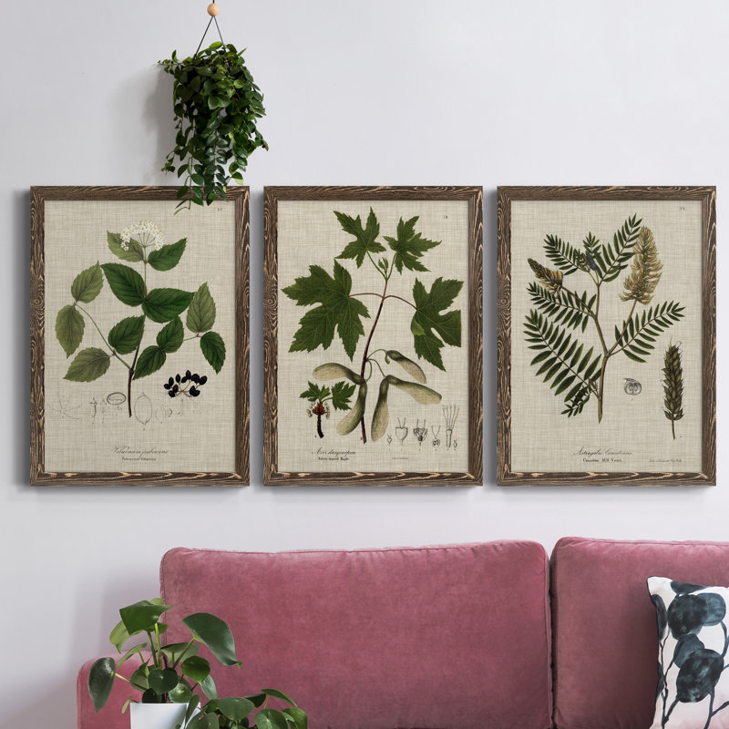 Linen and Leaves I - Ensemble de 3 peintures sur toile encadrées, Noyer, H 43,5 po x l 31,5 po x P 1 po