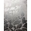 Gillenwater 10.05m x 53cm Semi-Gloss Wallpaper Roll-1952818914