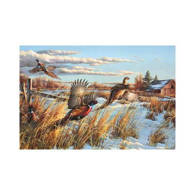 " Pheasants Farm " by Cynthie Fisher