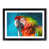 Black Framed selected