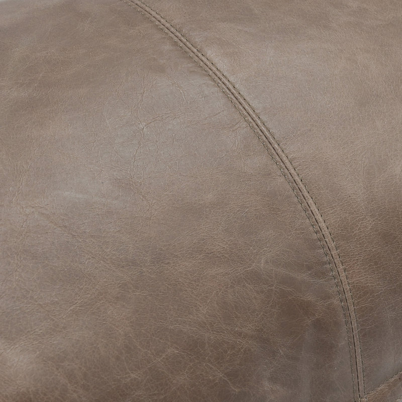 Kosas Home Cheyenne 100% Leather Throw Pillow, Taupe, 14" x 22", Rectangular