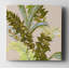Rainforest II ', peinture-32972395-33511464