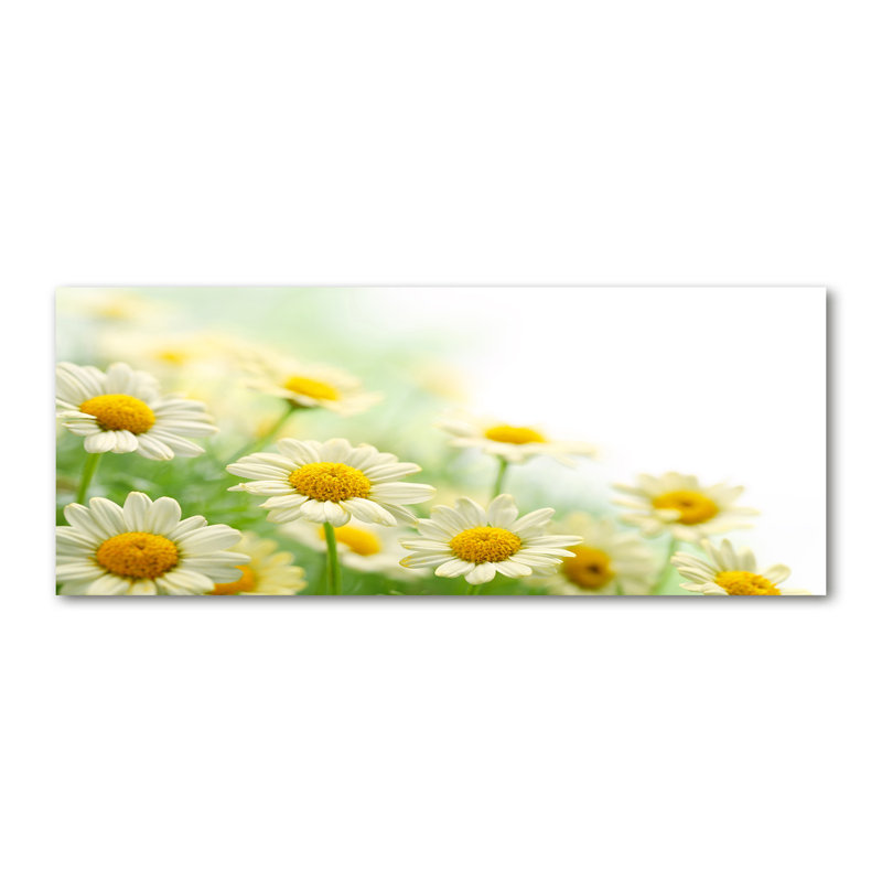 Daisies - No Frame Print on Canvas