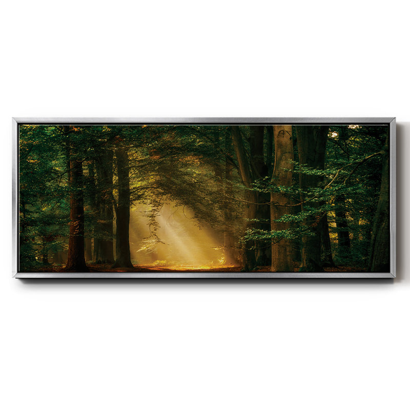 «Shine On», toile encadrée, H 12 po x l 30 po