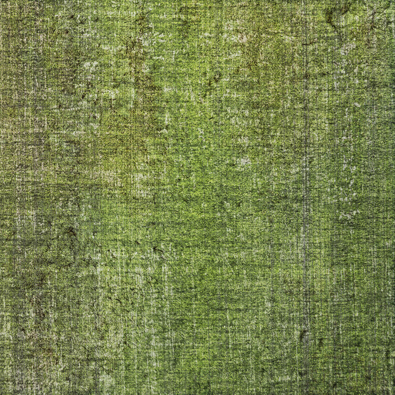Tapis à poils longs de qualité supérieure lavable à la machine Dream ADS552, Vert, 9 pi x 12 pi