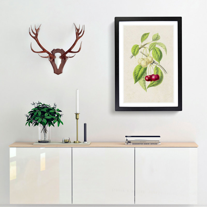 Illustration of Cherries - Framed Print, 48cm H x 36cm W x 2cm D, Black Framed