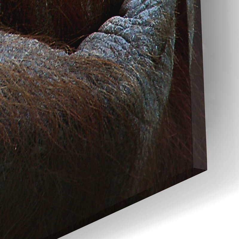 Ivy Bronx «Emotion» par SD Smart, art mural en verre acrylique, H 16 po x l 12 po x P 0,13 po