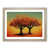 Oak Framed