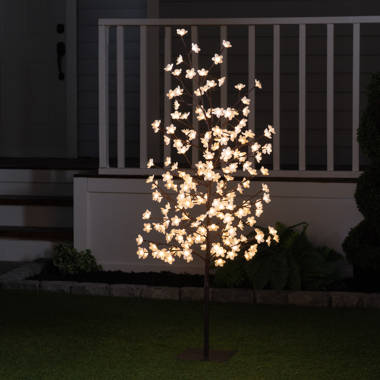 Hi-Line Gift Ltd. Arbre lumineux pour l'extérieur avec 336 lumières  bicolores et Commentaires - Wayfair Canada