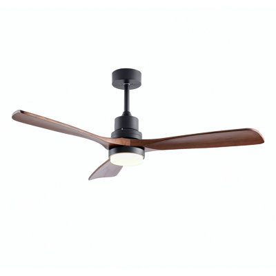 Ventilateurs de plafond en bois 52 po avec télécommande éclairée, ventilateur de plafond intérieur en bois extérieur, ventilateur de plafond moderne extérieur avec 3 pales de ventilateur pour patio, salon, maison de campagne, etc. (noir + noyer)