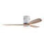 Ventilateur de plafond Jameison