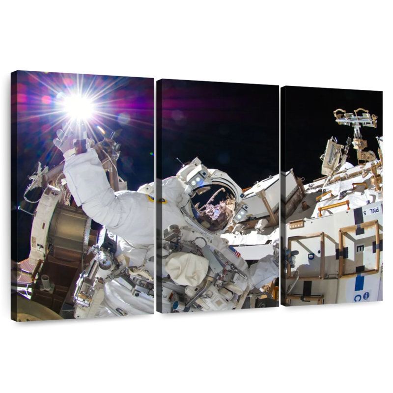 Oberle Sunita Williams, voyage dans l'espace, H 28 po x l 45 po