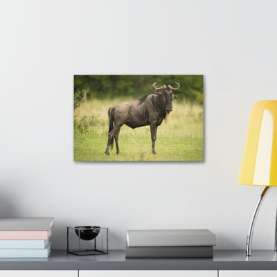 No Frame Print on Canvas