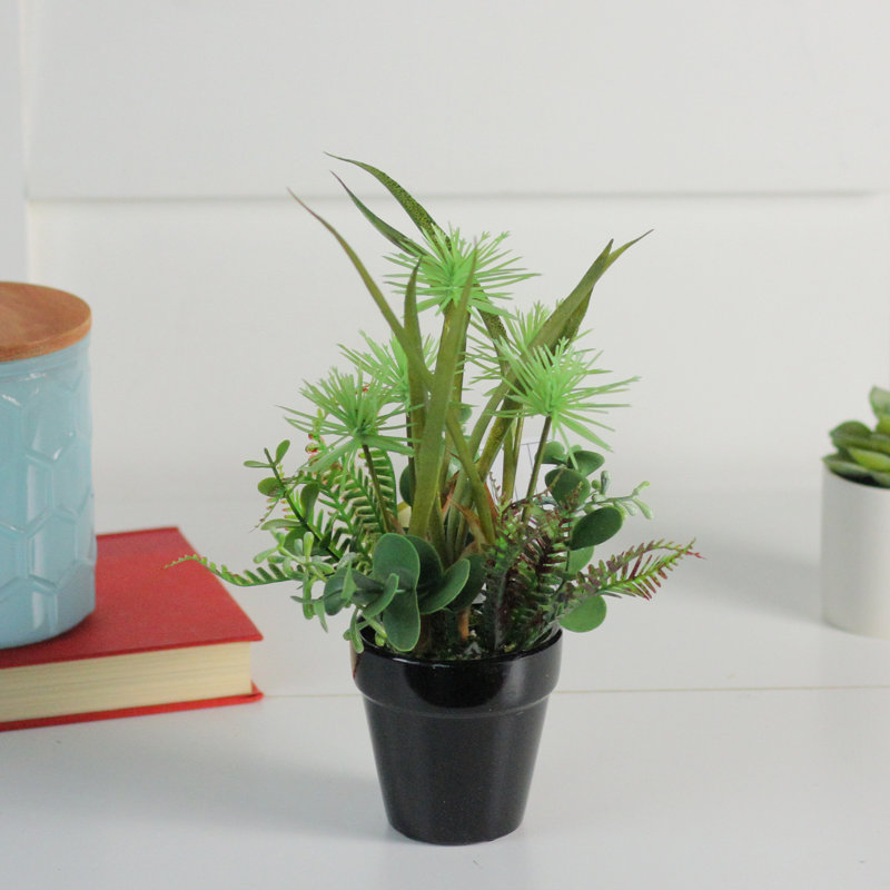 Plante grasse artificielle en pot 10 po