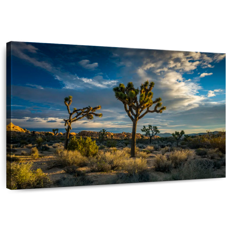 Paysage du parc national Ravi Joshua Tree, H 30 po x l 45 po