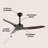 Artisha 50'' Ceiling Fan-684973091