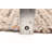 Sienna Taupe Rug 5'3" x 8'0"