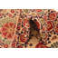 Tapis crème Oldham