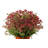 Jayia Metal Pot Planter