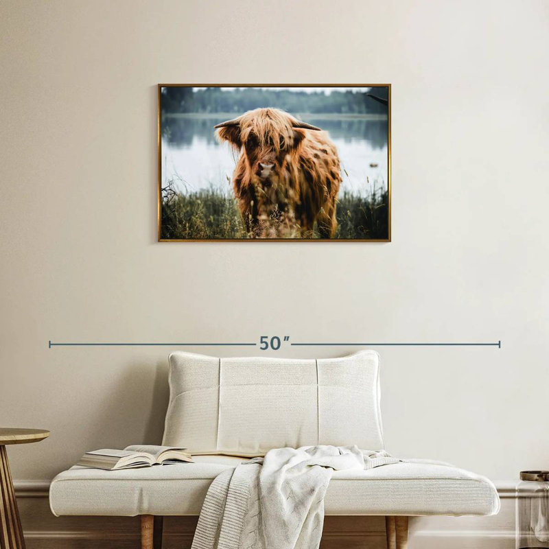 Vache Lakeside Highland, Cadre flottant doré, 31 po x 21 po
