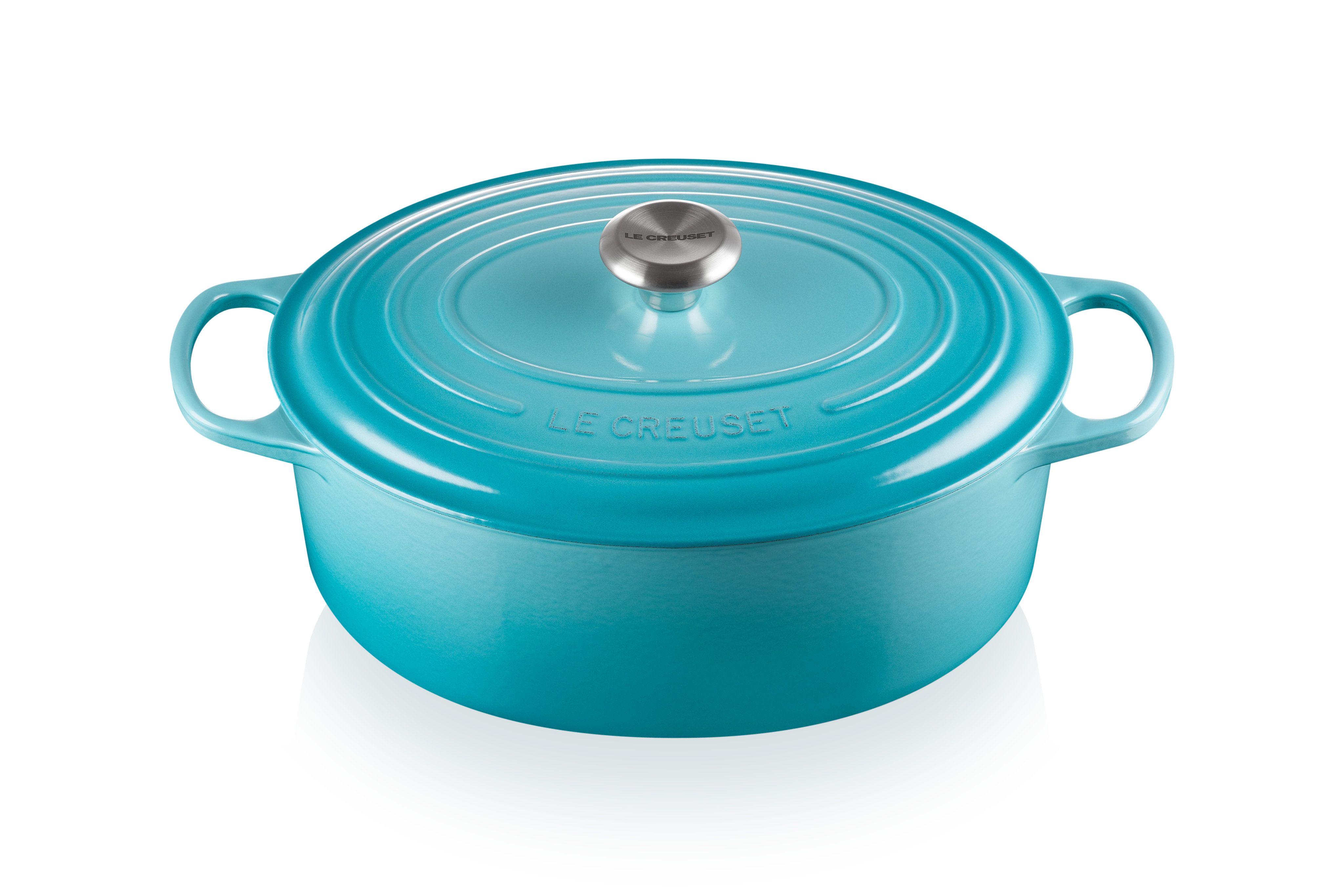 https://assets.wfcdn.com/im/35255136/compr-r85/1927/192704694/le-creuset-signature-enameled-cast-iron-oval-dutch-oven-with-lid.jpg