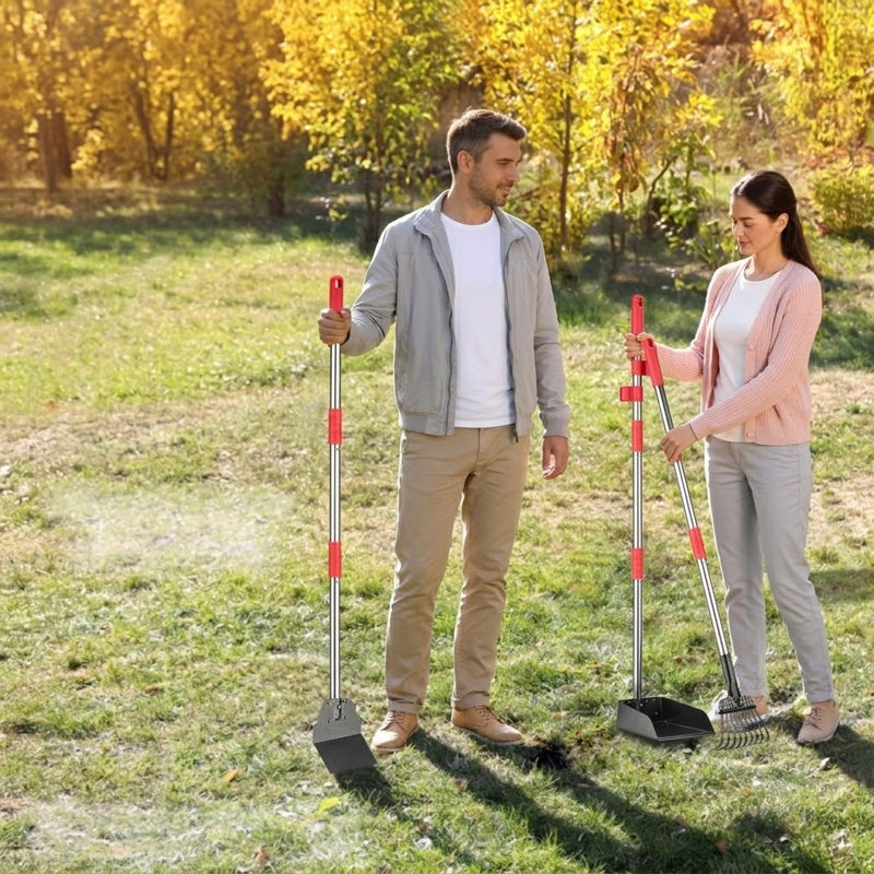 Râpe à poils longs en acier inoxydable avec plateau et pelle, pour l'herbe, la terre ou le gravier
