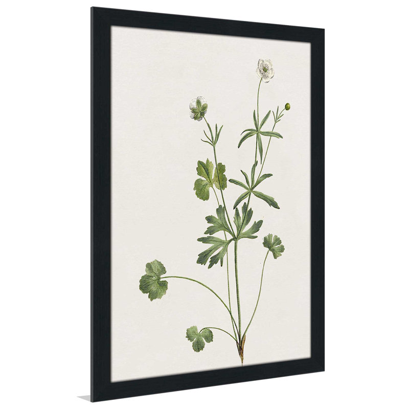 Wispy Botanical II - Peinture, L 27,5 po x H 39,5 po, Encadrement brun